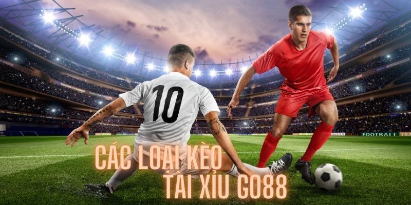 Các loại kèo tài xỉu Go88