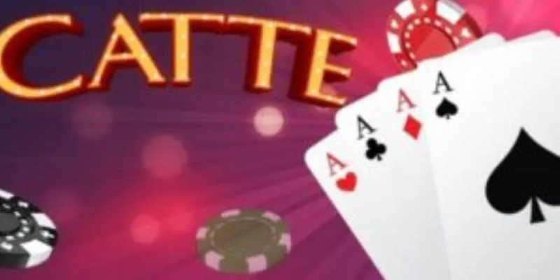 Cách sắp xếp khoa học trong catte